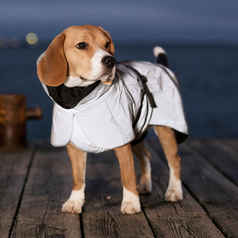 Reflektierender Regenmantel hält Ihren Hund warm und trocken Julia